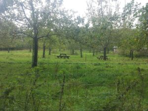 park2-2014-10-24 12.29.51