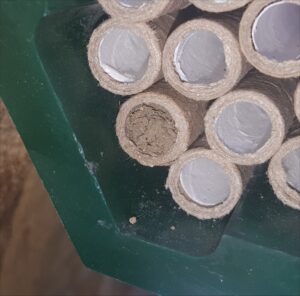 mason-mud-2015-05-17 18.33.37