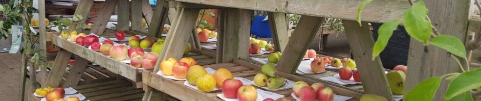 buckingham apple day